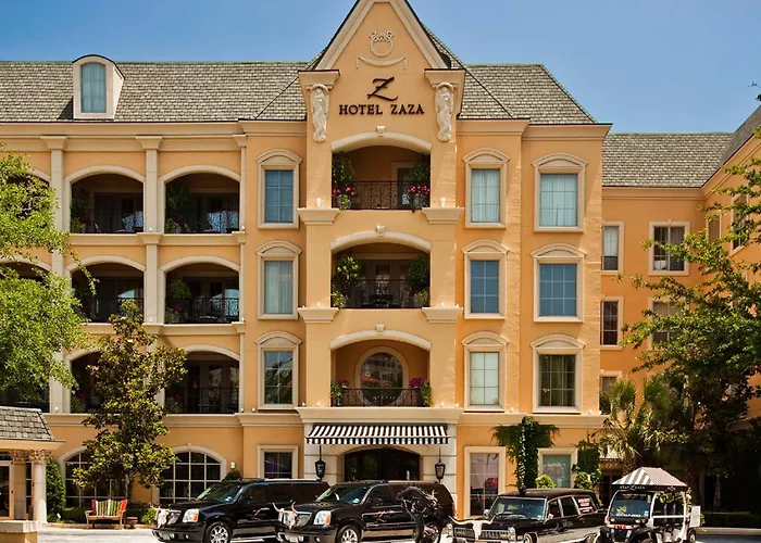 Hotel with pool: Hotel Zaza Dallas